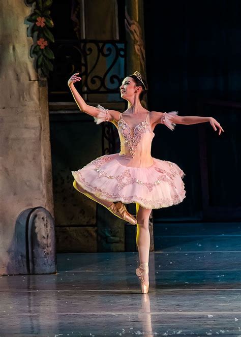 Unlocking the Secrets of the Sugar Plum Fairy's Dance